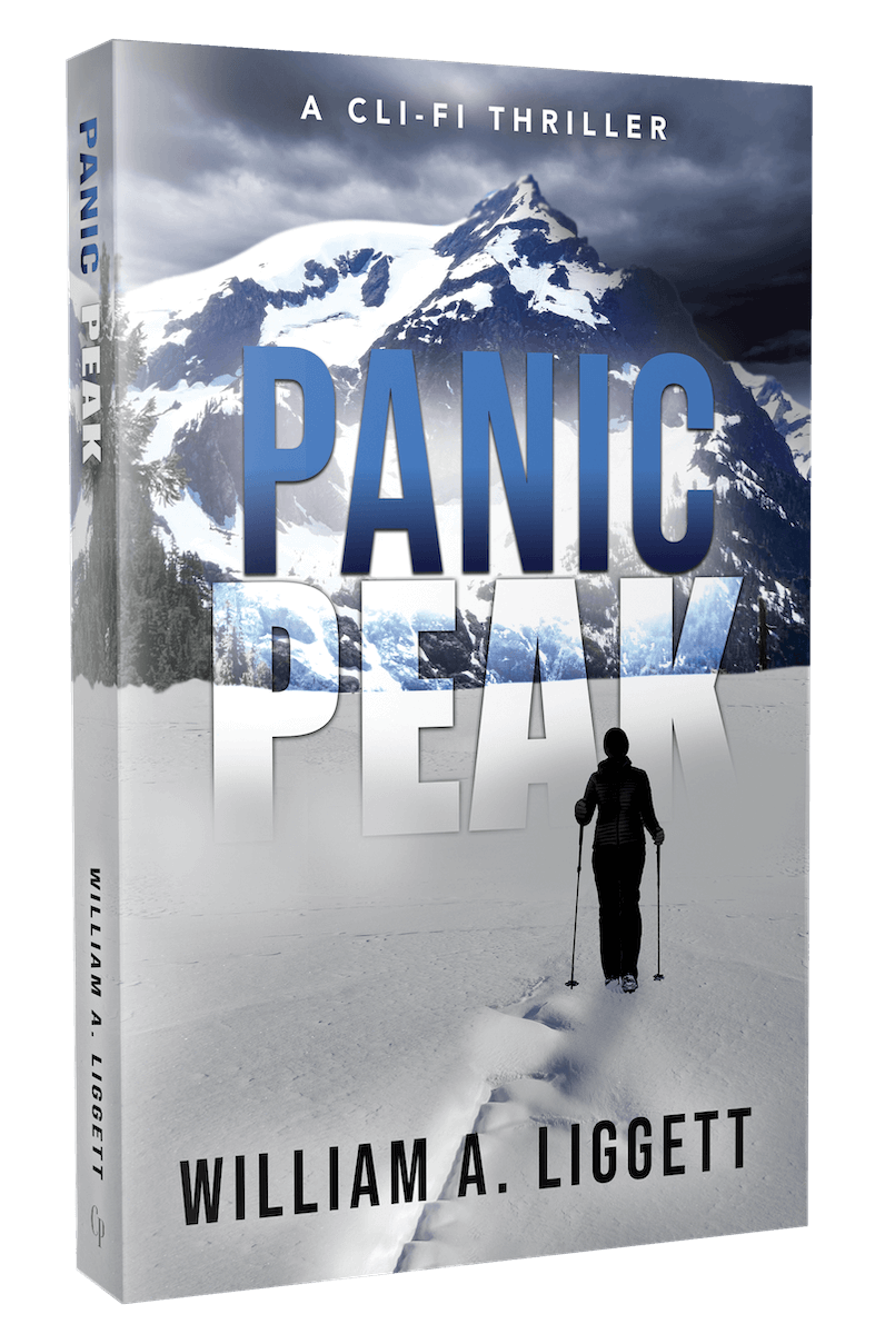 Panic Peak Book Cover